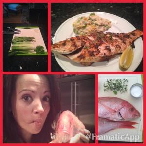 10372060_10102022728373050_5428025458255432260_n